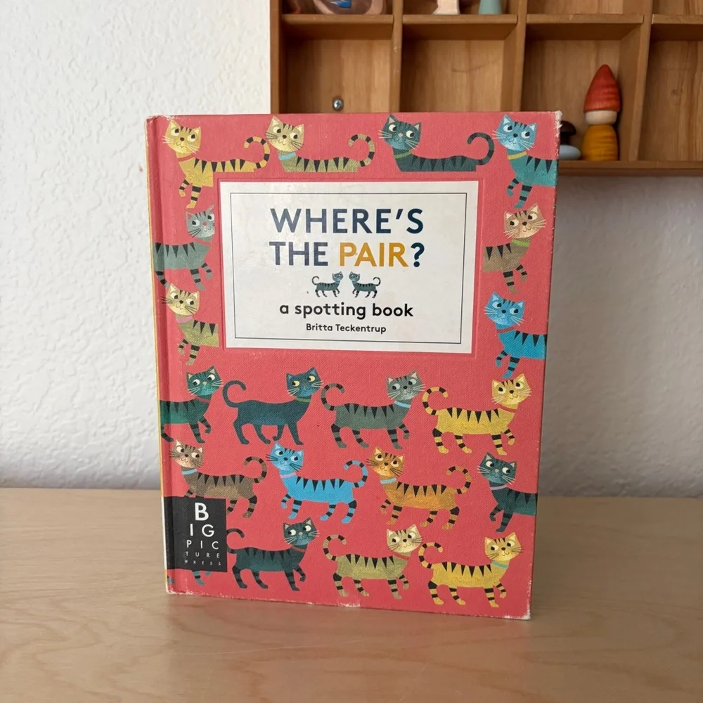 Where's The Pair? Spotting Book - Children’s Hardcover Book